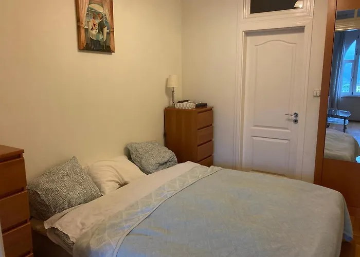 Apartament Danube View *